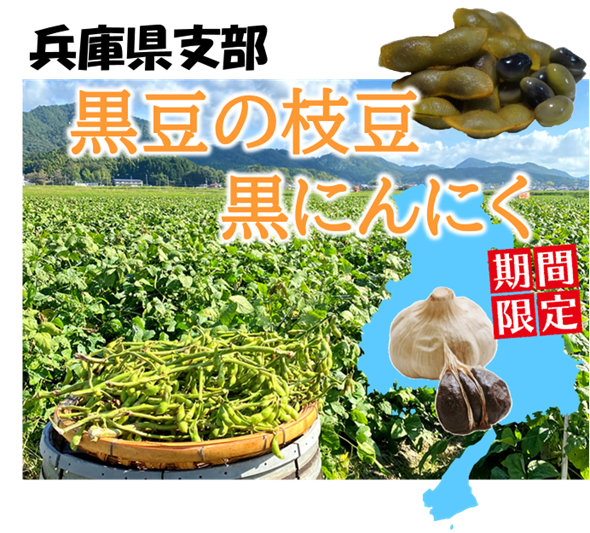 大学祭2024同窓会